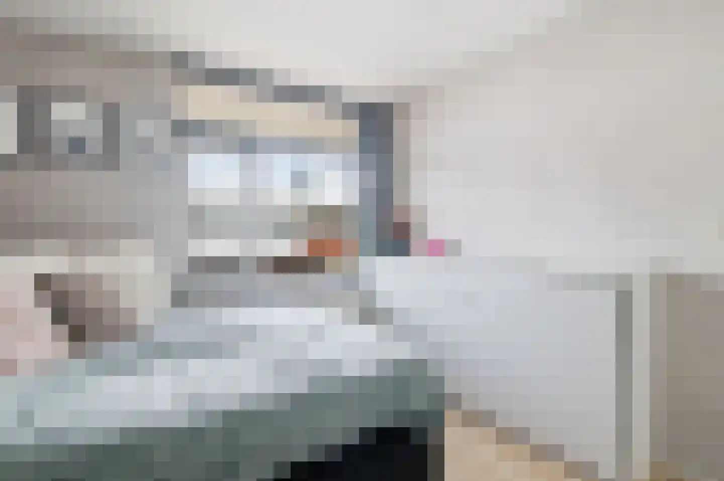 Nieuwe Gouw 106 Landsmeer thumbnail 14