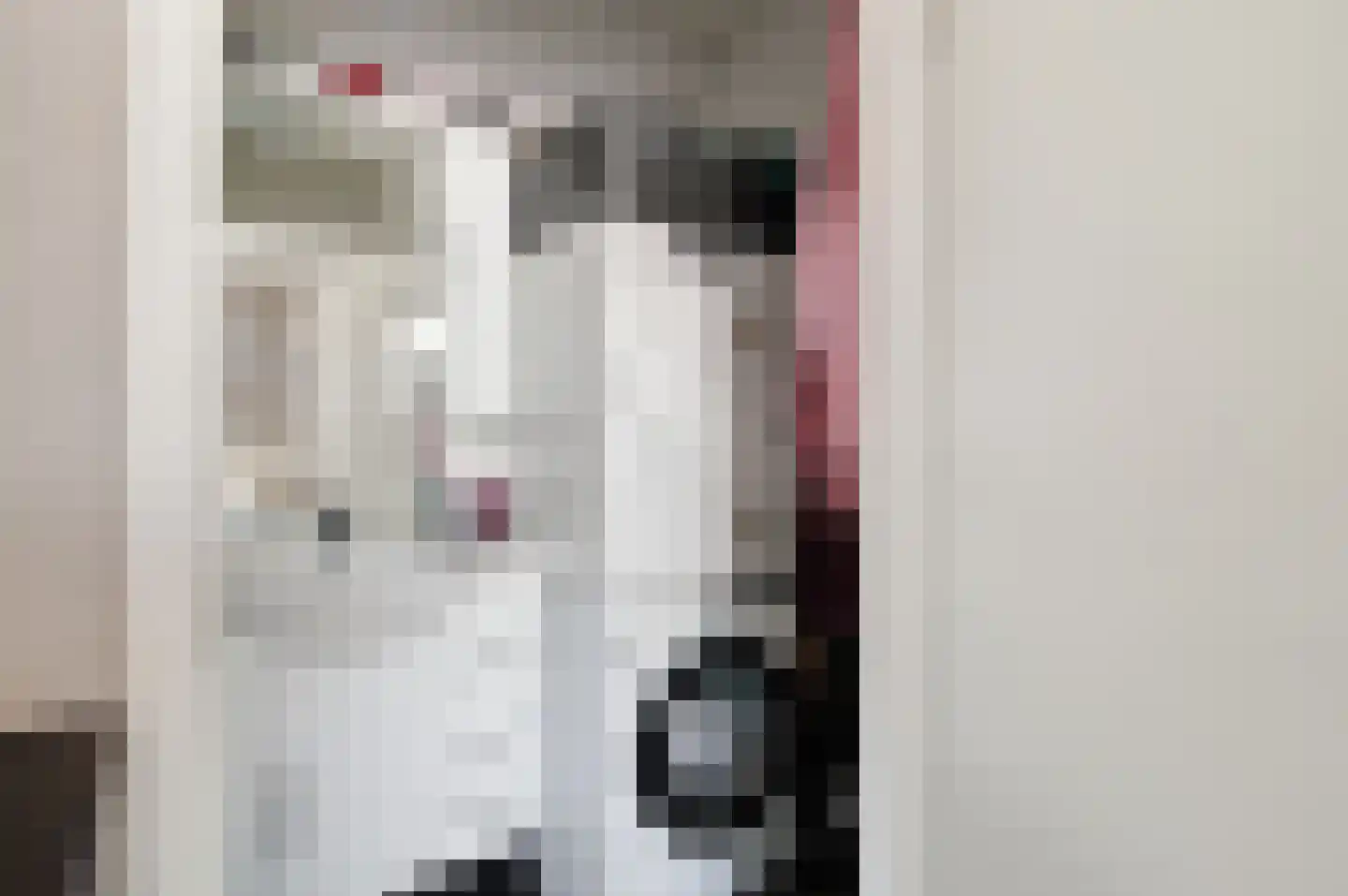 Nieuwe Gouw 106 Landsmeer thumbnail 15