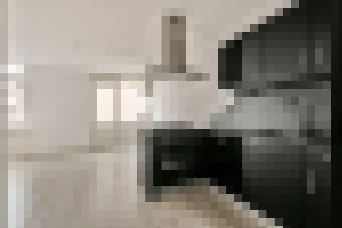 Nieuwe Gouw 114 Landsmeer thumbnail 10