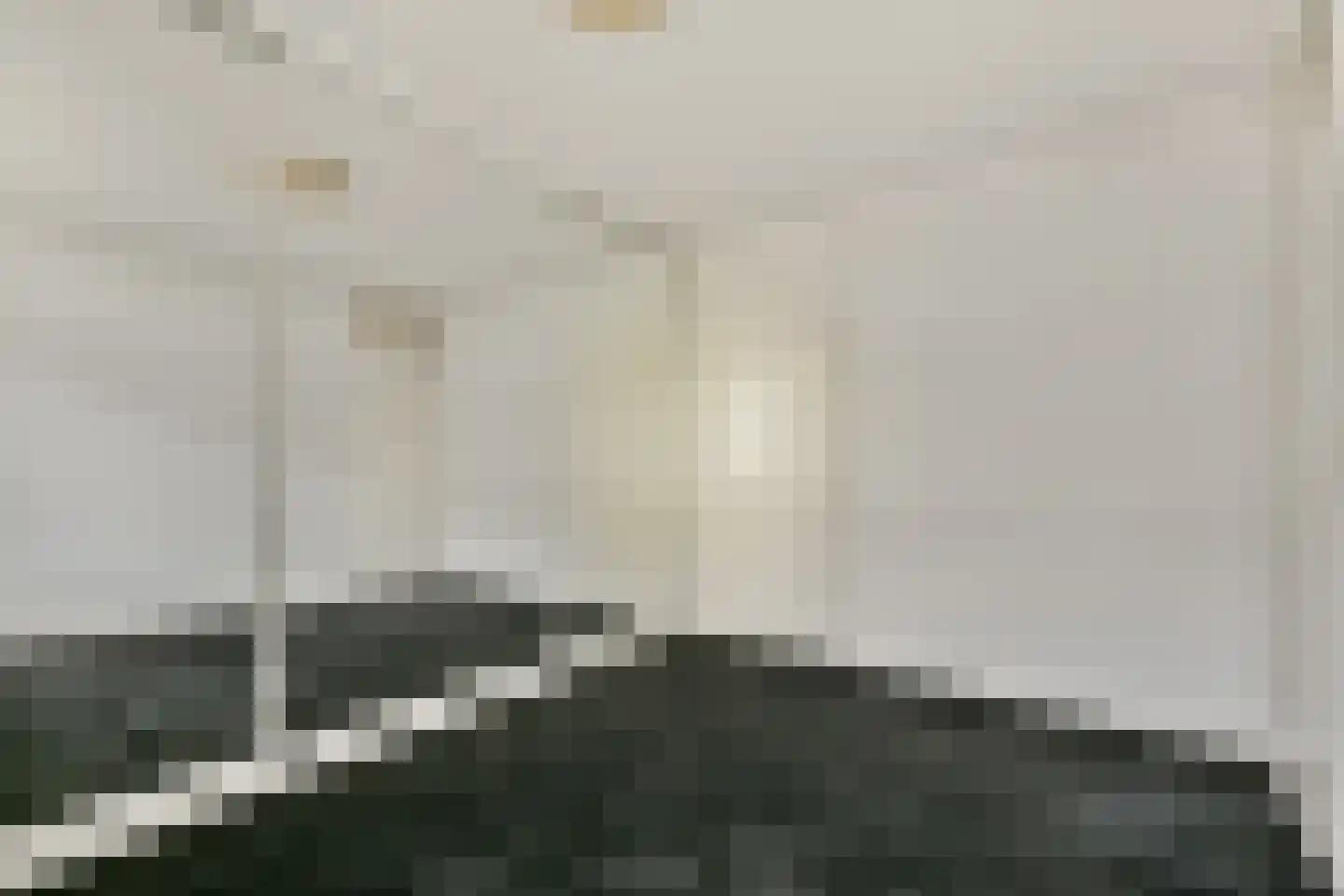 Nieuwe Gouw 114 Landsmeer thumbnail 14