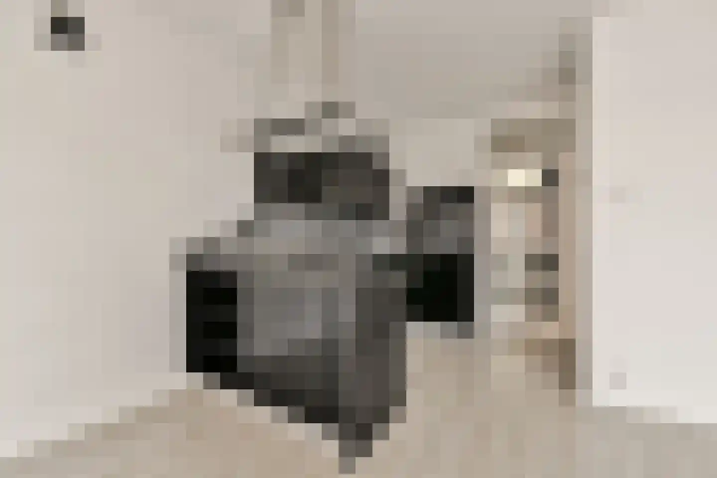 Nieuwe Gouw 114 Landsmeer thumbnail 4