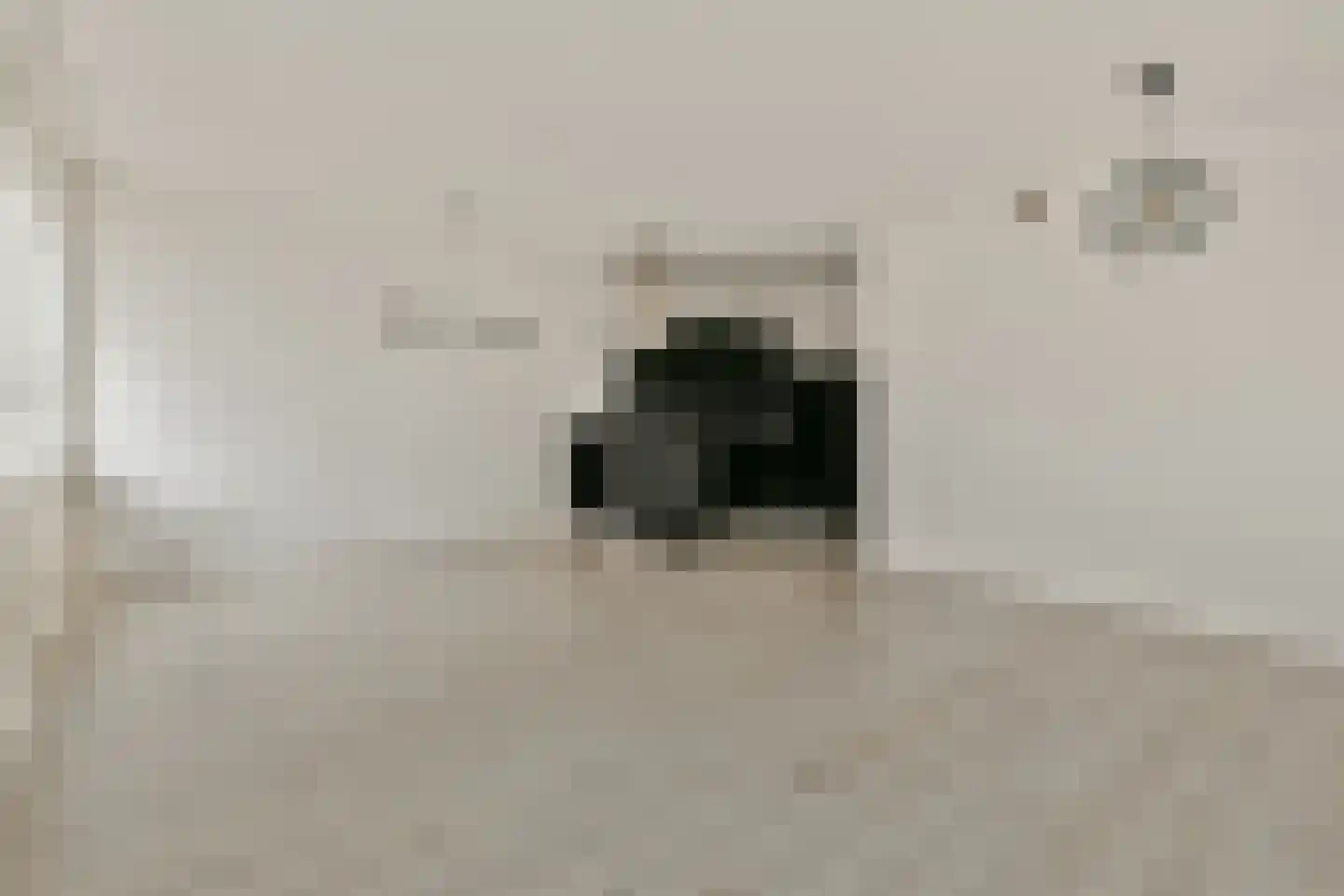 Nieuwe Gouw 114 Landsmeer thumbnail 8