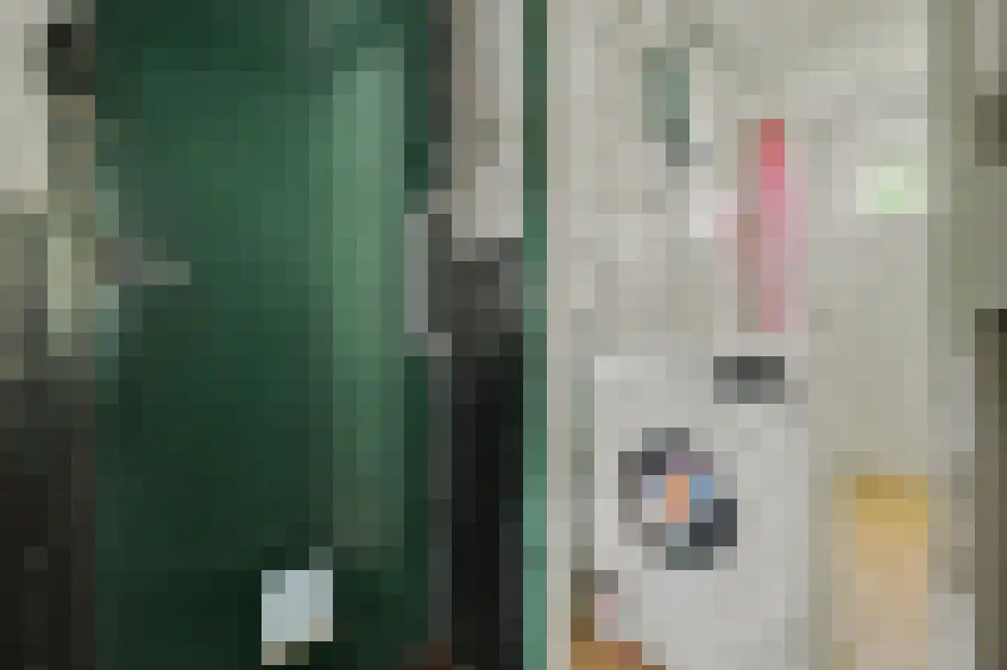 Nieuwe Gouw 35 Amsterdam thumbnail 18