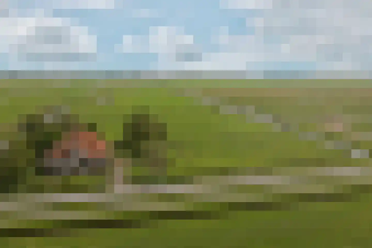 Nieuwe Gouw 35 Amsterdam thumbnail 31