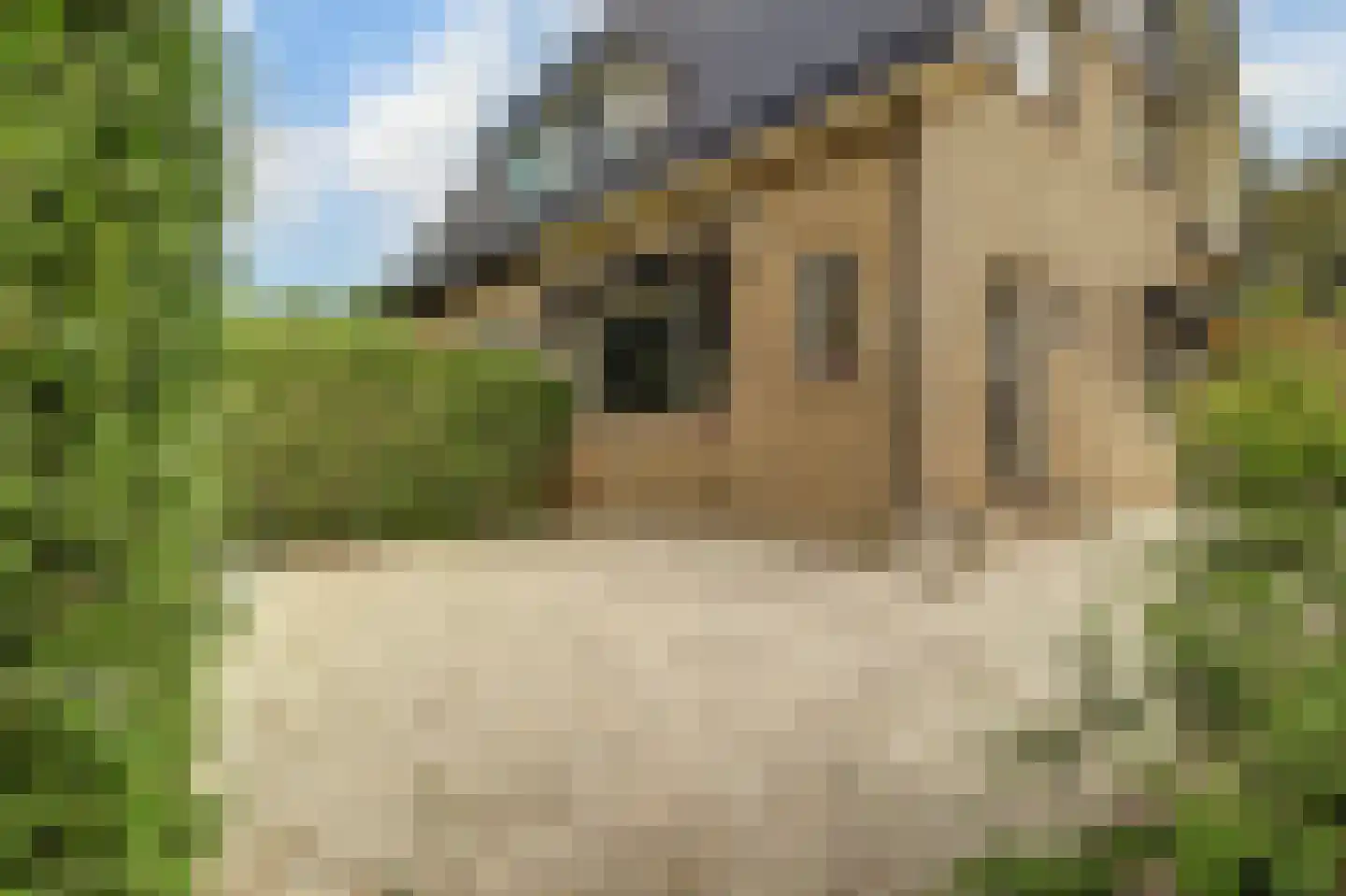 Nieuwe Gouwe O.Z. 98 Gouda thumbnail 10