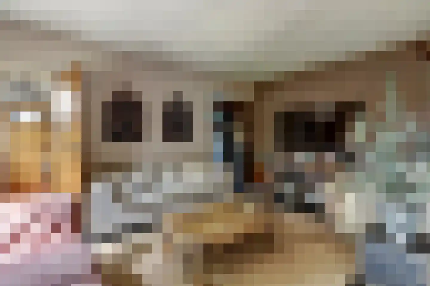 Nieuwe Gouwe O.Z. 98 Gouda thumbnail 13
