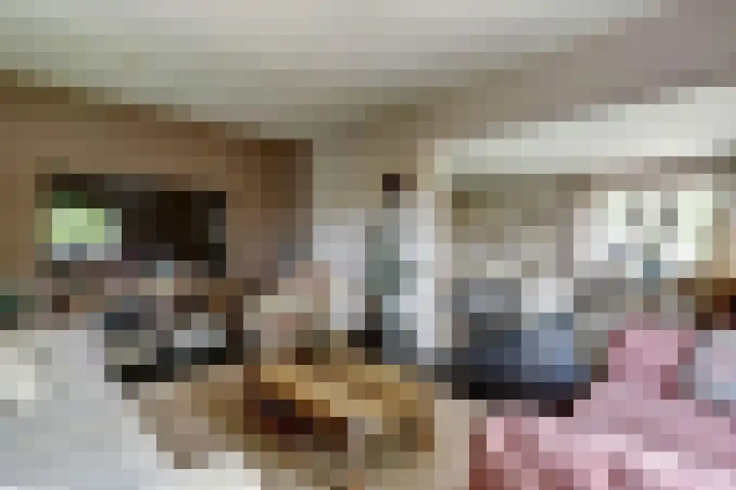 Nieuwe Gouwe O.Z. 98 Gouda thumbnail 14