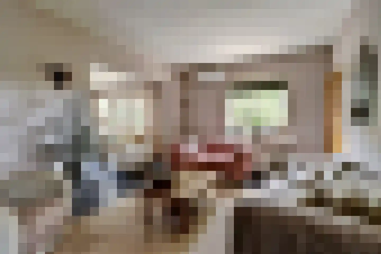 Nieuwe Gouwe O.Z. 98 Gouda thumbnail 15