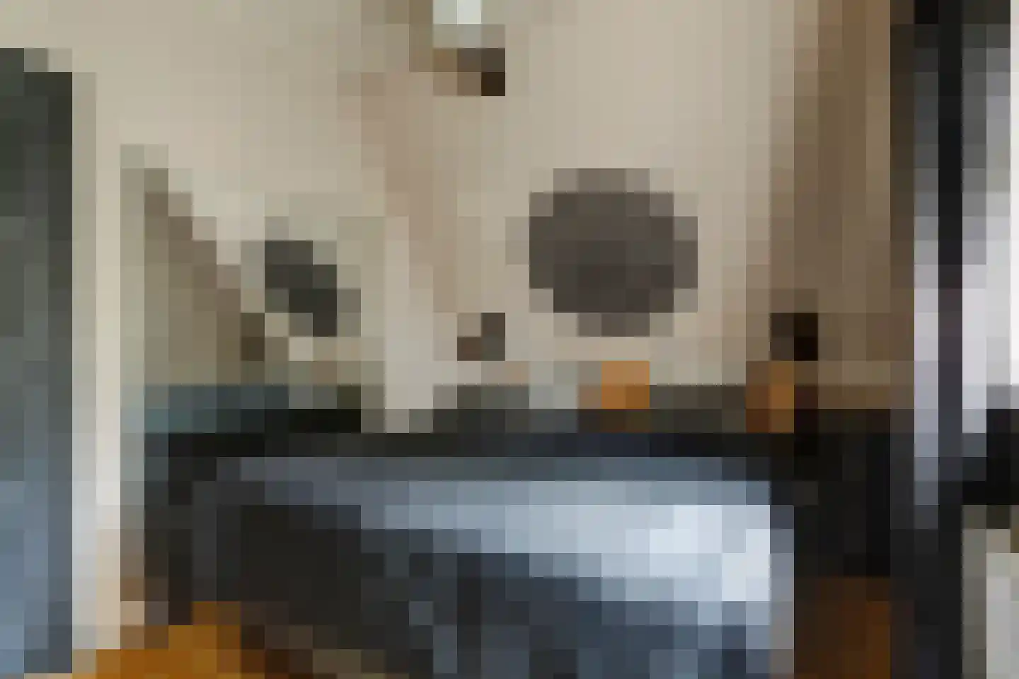Nieuwe Gouwe O.Z. 98 Gouda thumbnail 28