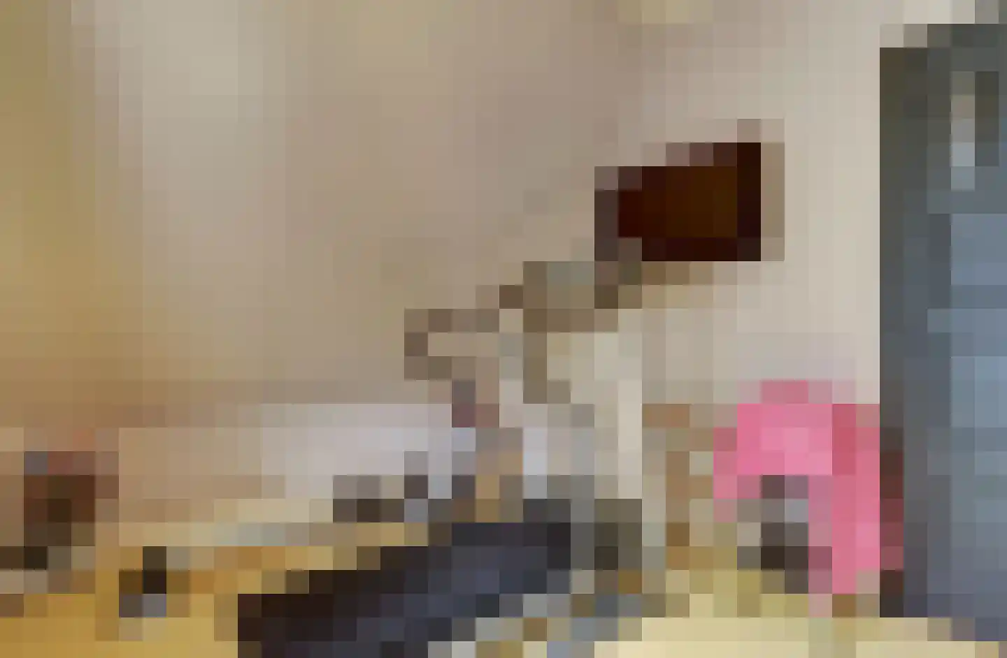 Nieuwe Gouwe O.Z. 98 Gouda thumbnail 35