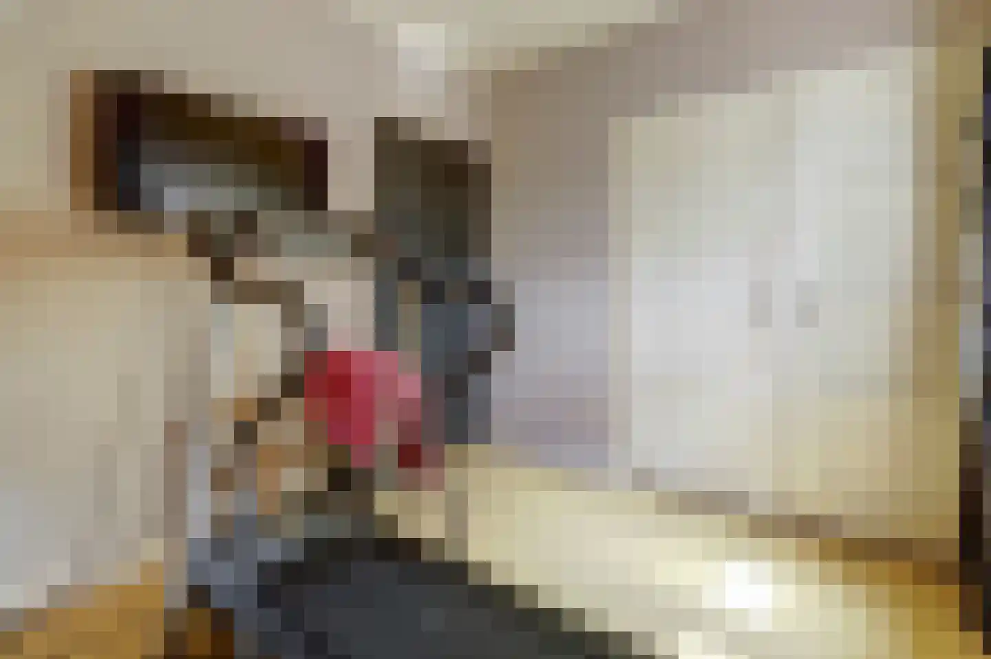 Nieuwe Gouwe O.Z. 98 Gouda thumbnail 36
