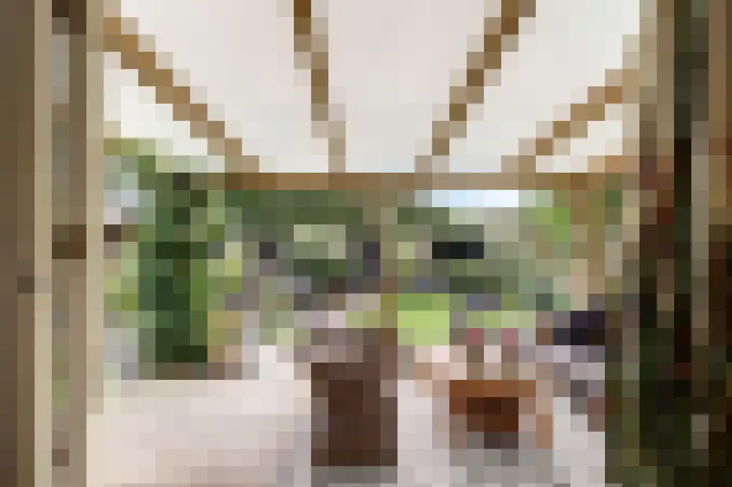 Nieuwe Gouwe O.Z. 98 Gouda thumbnail 44