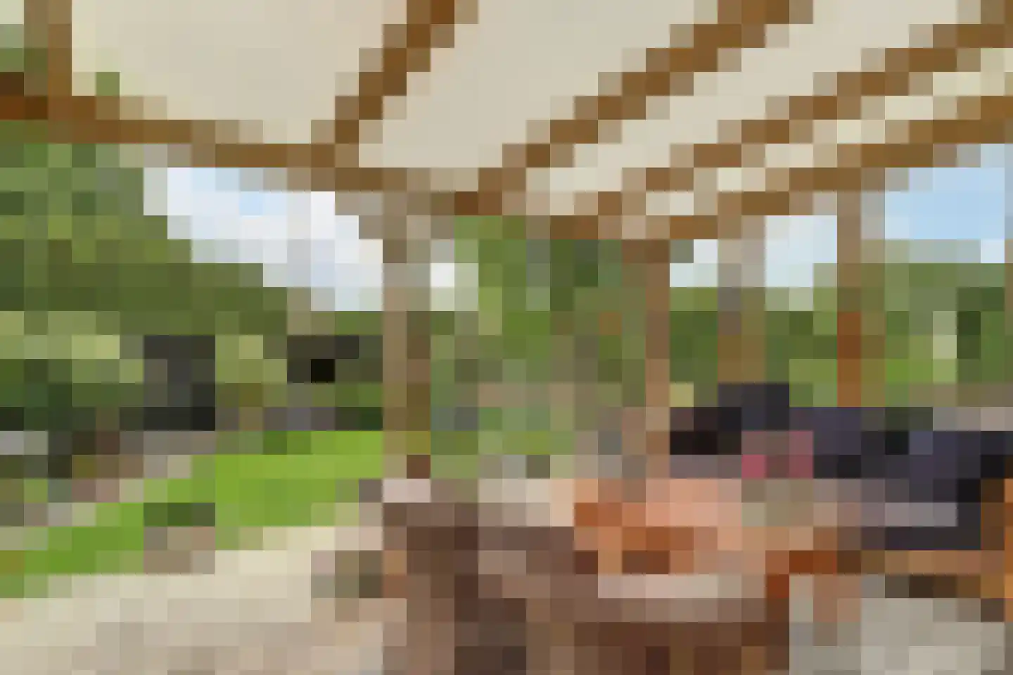Nieuwe Gouwe O.Z. 98 Gouda thumbnail 45