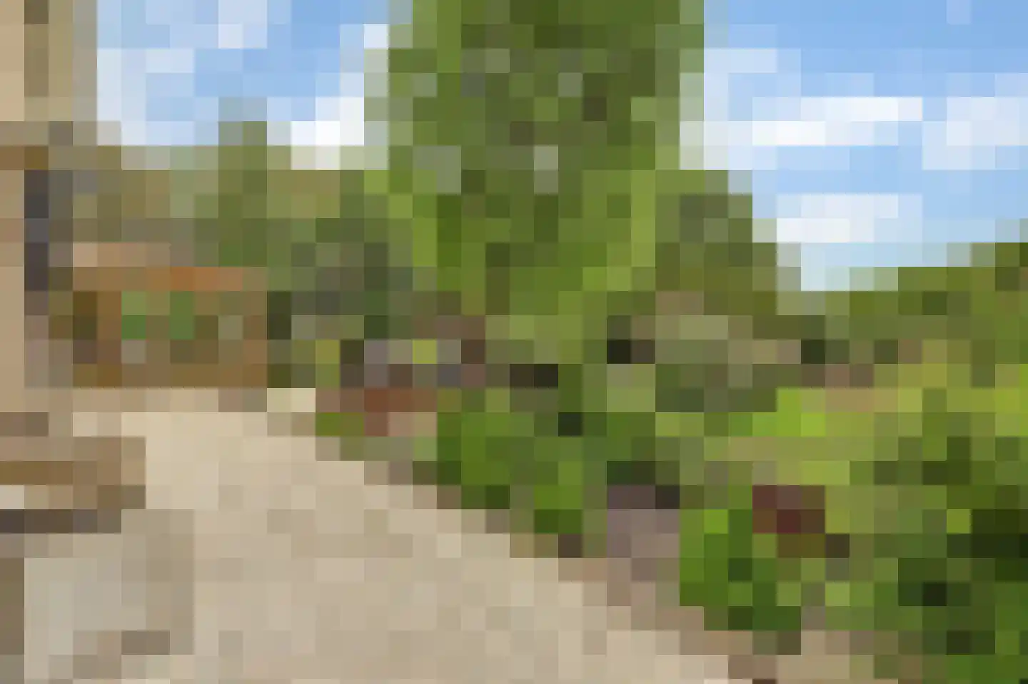 Nieuwe Gouwe O.Z. 98 Gouda thumbnail 46