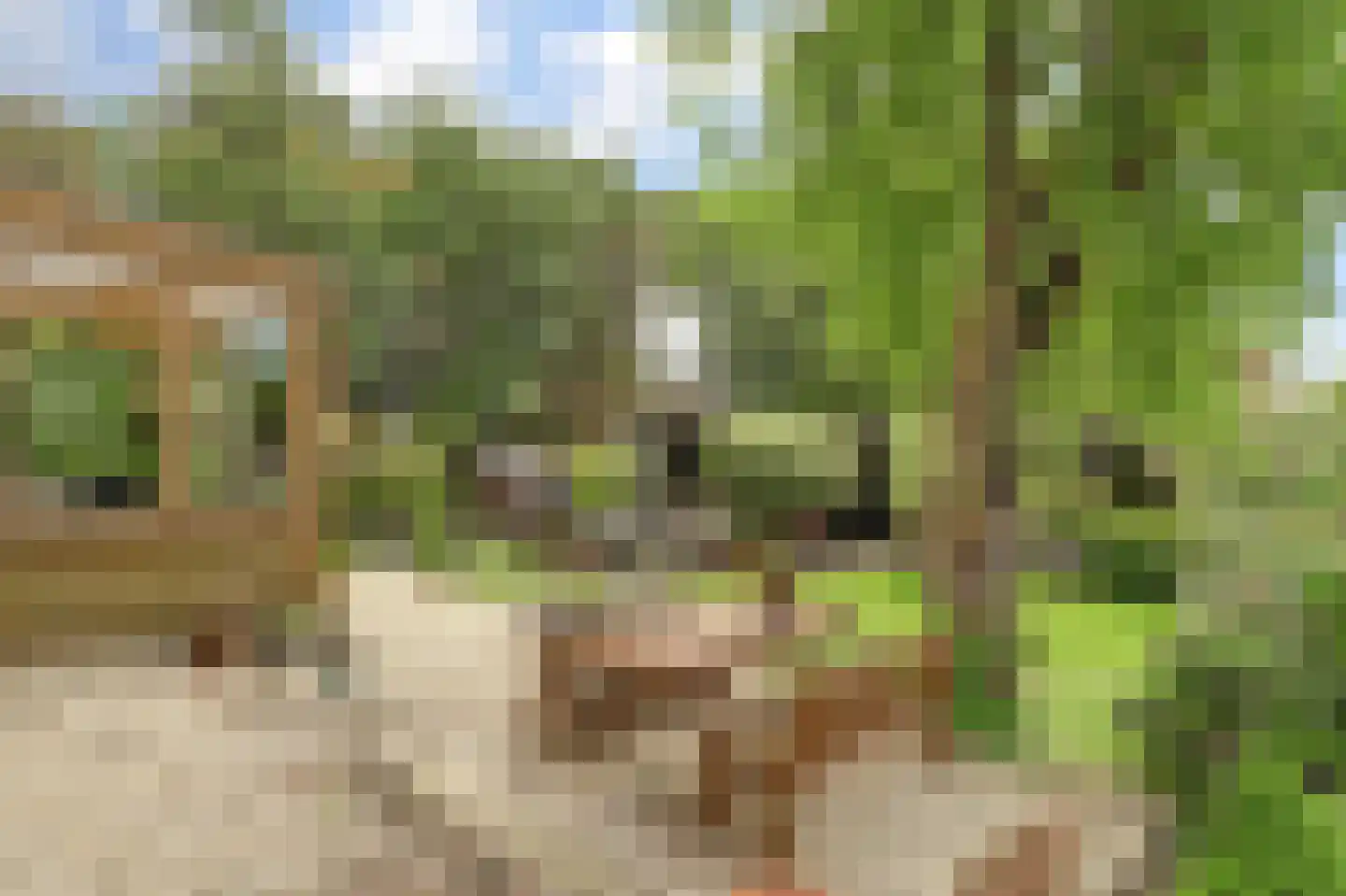 Nieuwe Gouwe O.Z. 98 Gouda thumbnail 47