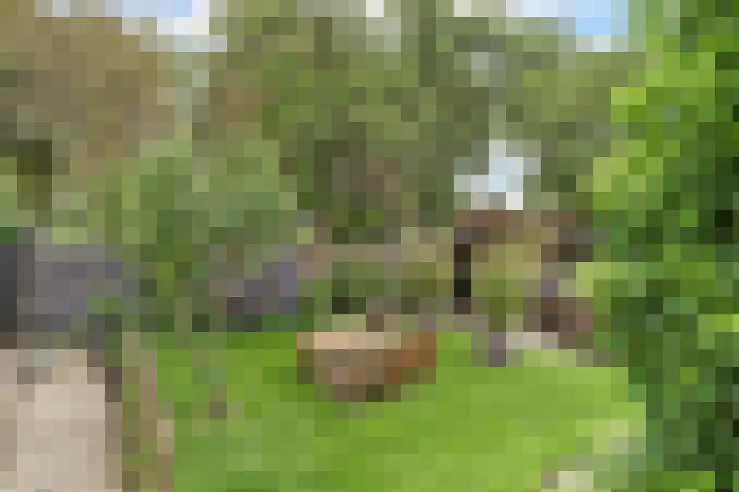 Nieuwe Gouwe O.Z. 98 Gouda thumbnail 49