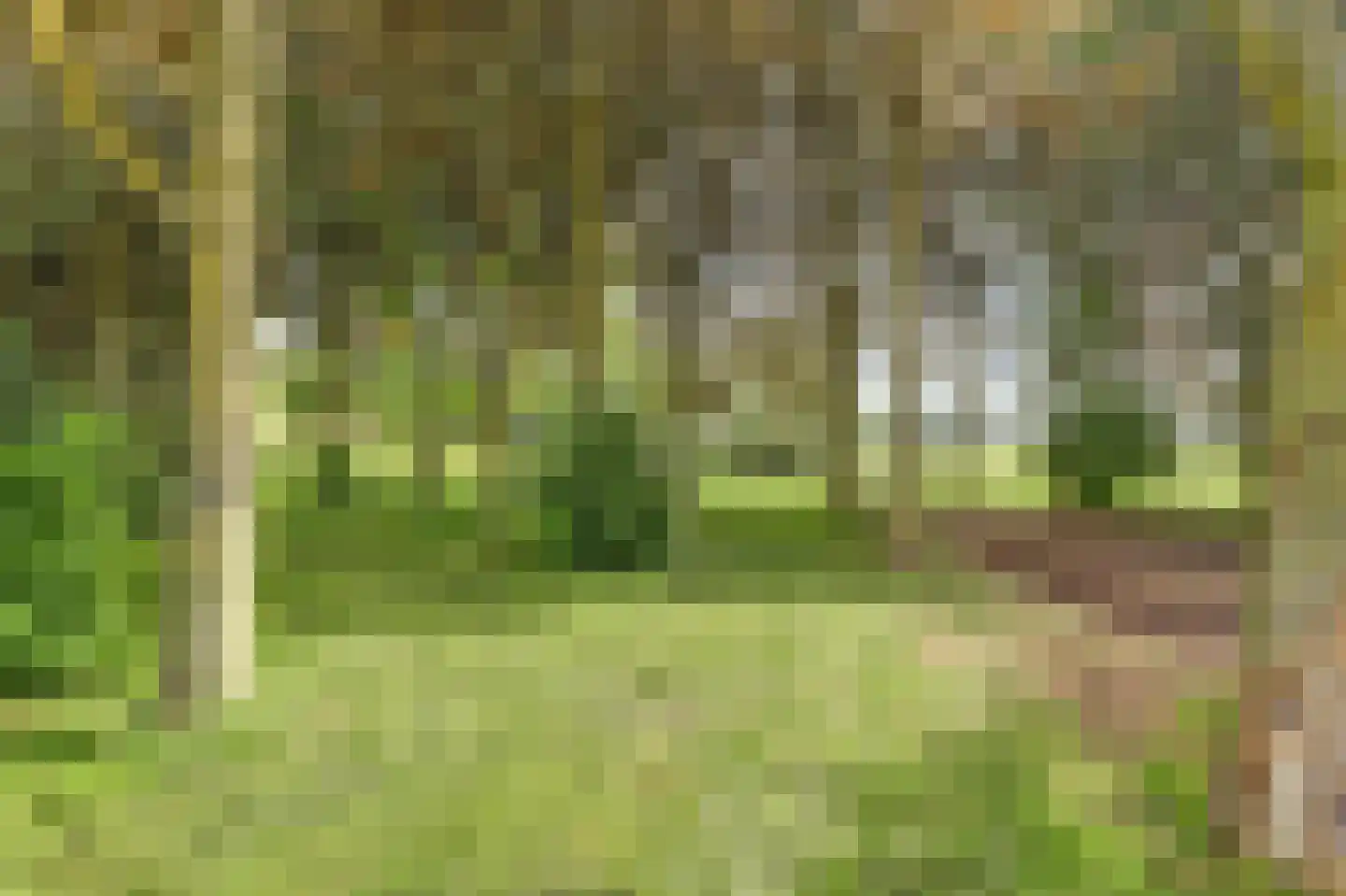 Nieuwe Gouwe O.Z. 98 Gouda thumbnail 5