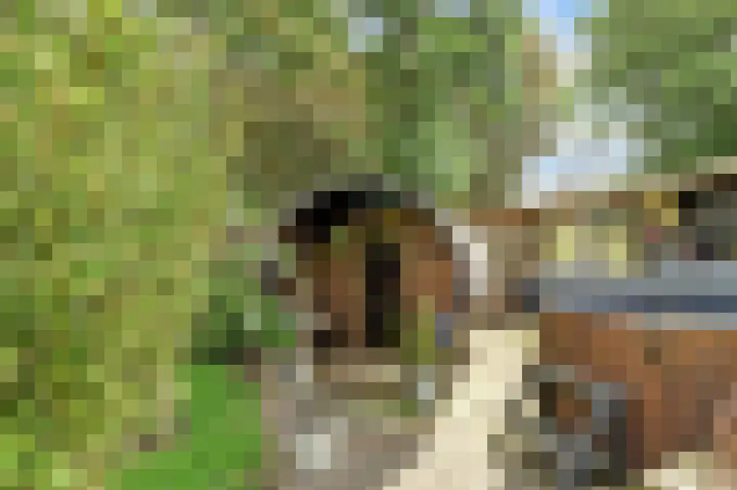 Nieuwe Gouwe O.Z. 98 Gouda thumbnail 50