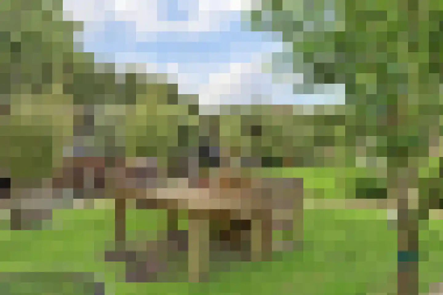 Nieuwe Gouwe O.Z. 98 Gouda thumbnail 54