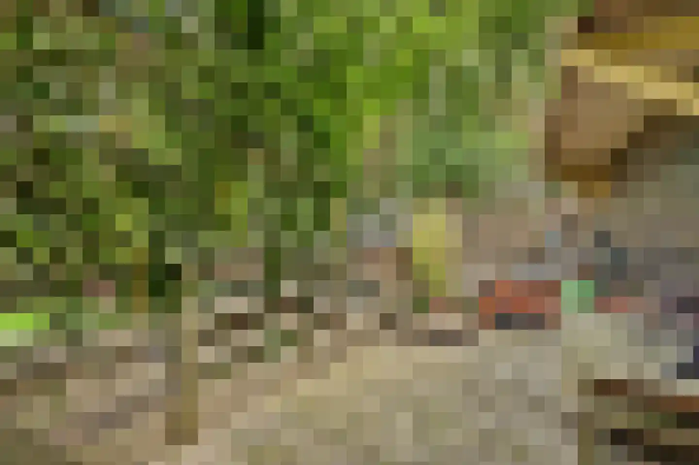 Nieuwe Gouwe O.Z. 98 Gouda thumbnail 55