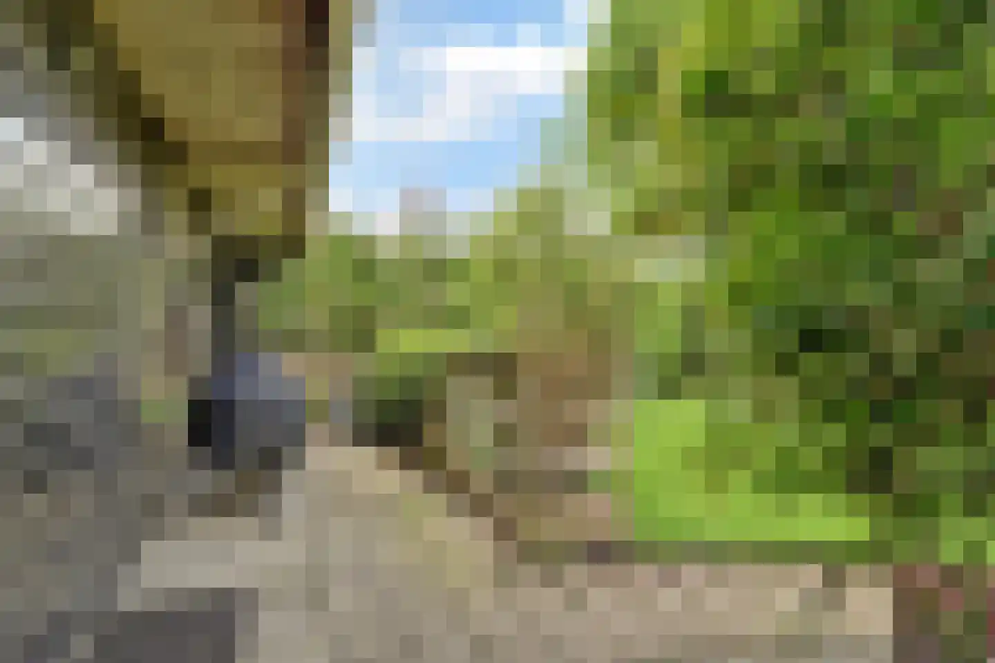 Nieuwe Gouwe O.Z. 98 Gouda thumbnail 56