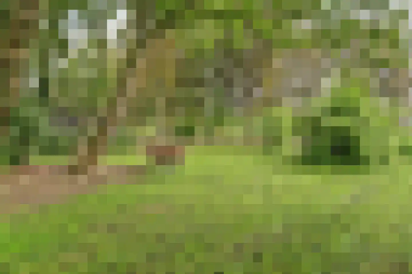 Nieuwe Gouwe O.Z. 98 Gouda thumbnail 6