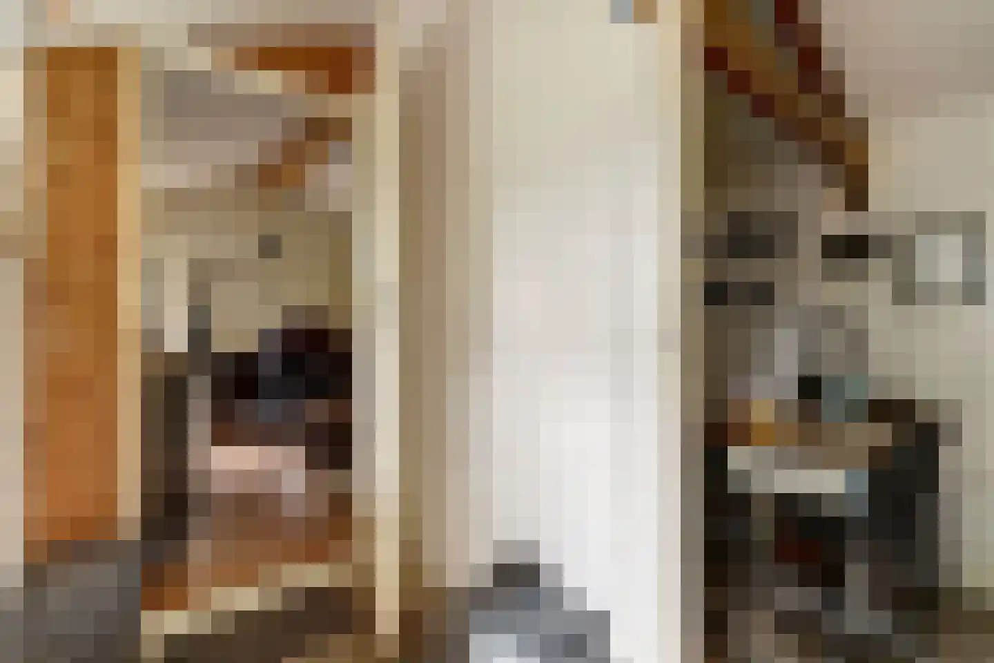 Nieuwe Gouwe O.Z. 98 Gouda thumbnail 60