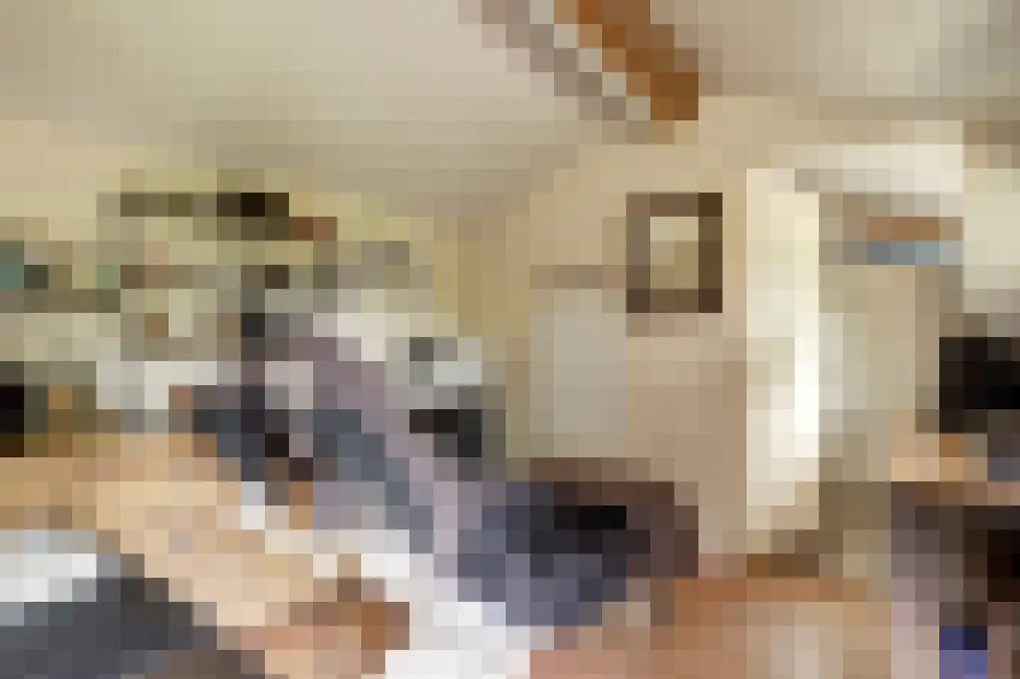 Nieuwe Gouwe O.Z. 98 Gouda thumbnail 61