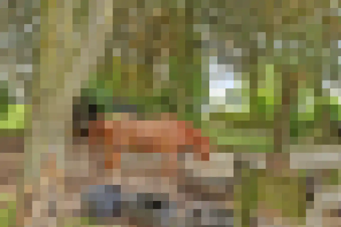 Nieuwe Gouwe O.Z. 98 Gouda thumbnail 66