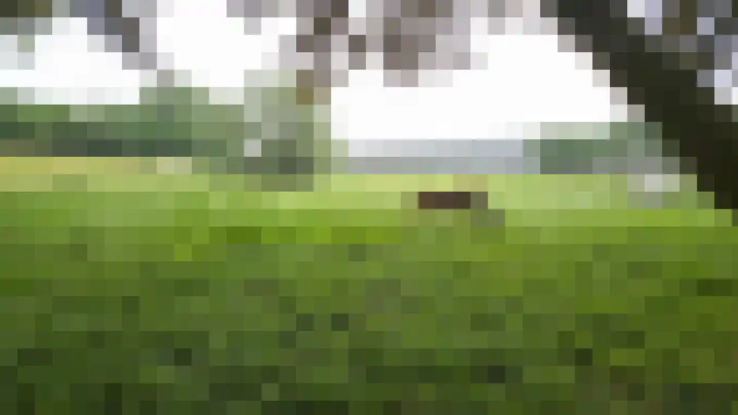 Nieuwe Gouwe O.Z. 98 Gouda thumbnail 68