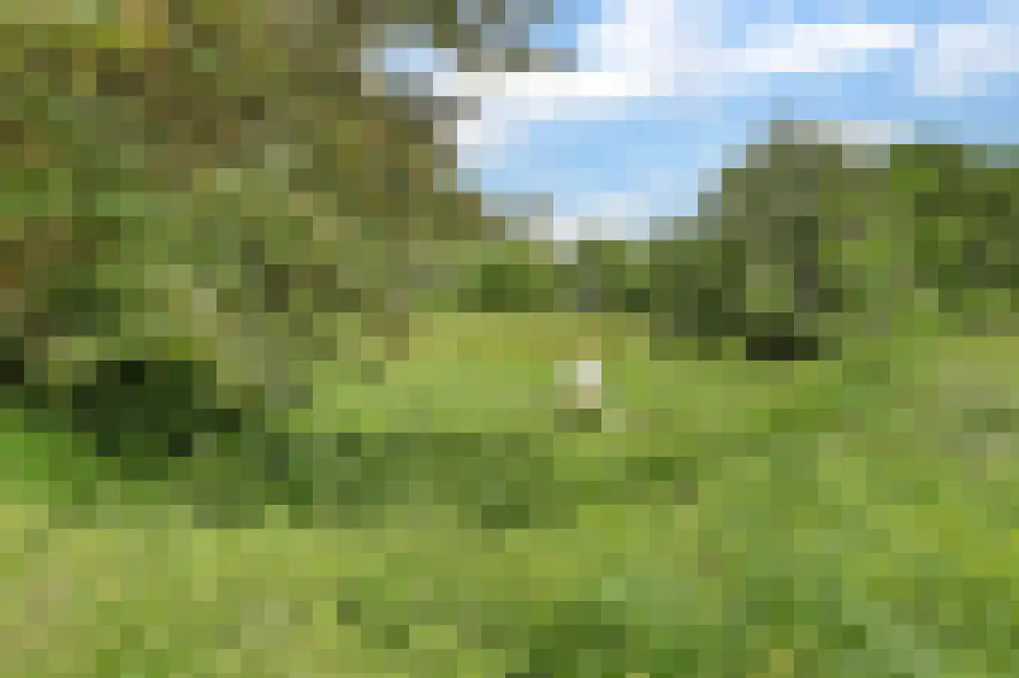 Nieuwe Gouwe O.Z. 98 Gouda thumbnail 69