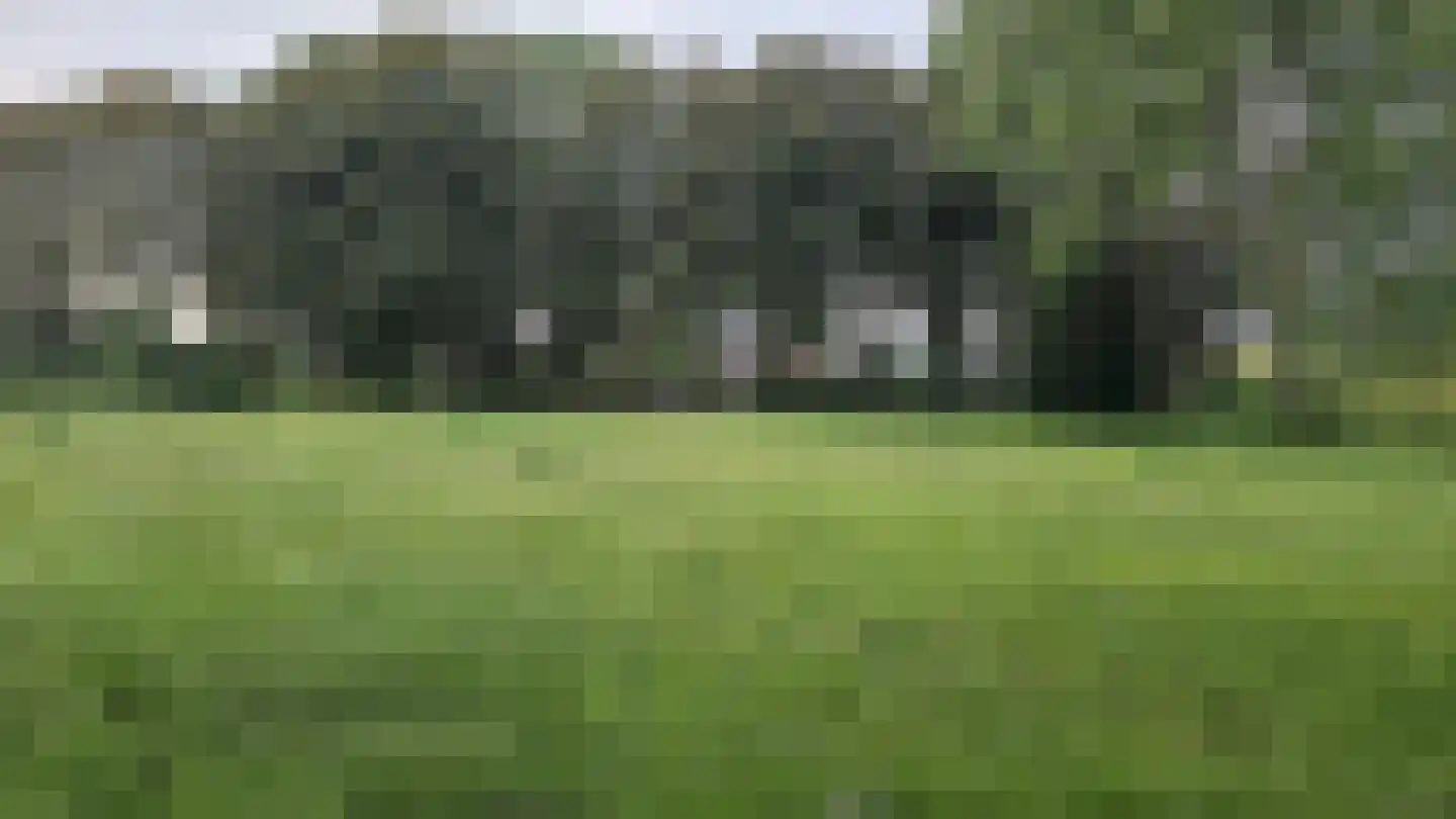 Nieuwe Gouwe O.Z. 98 Gouda thumbnail 7