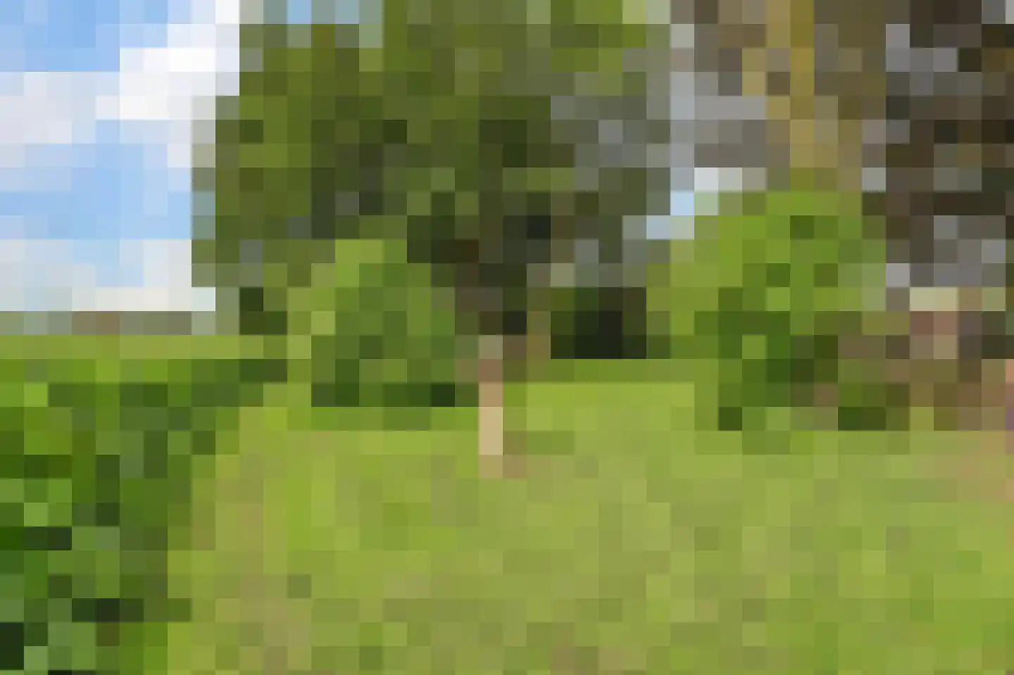 Nieuwe Gouwe O.Z. 98 Gouda thumbnail 70