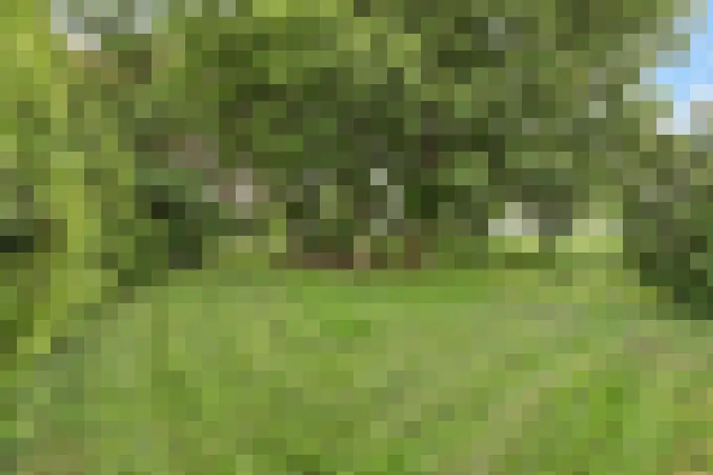 Nieuwe Gouwe O.Z. 98 Gouda thumbnail 71