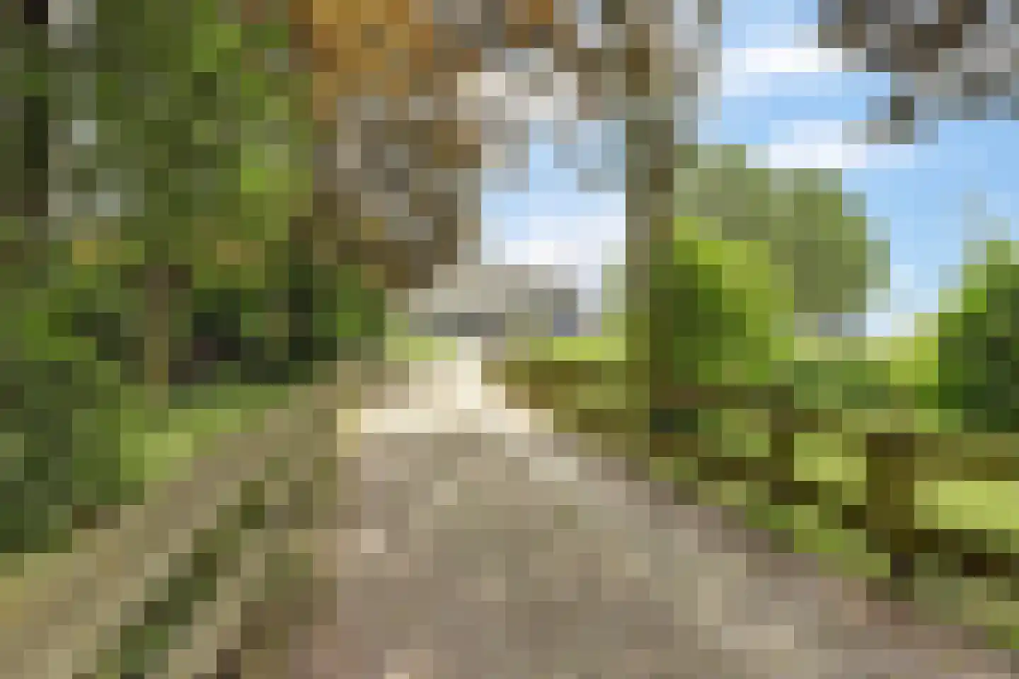 Nieuwe Gouwe O.Z. 98 Gouda thumbnail 73