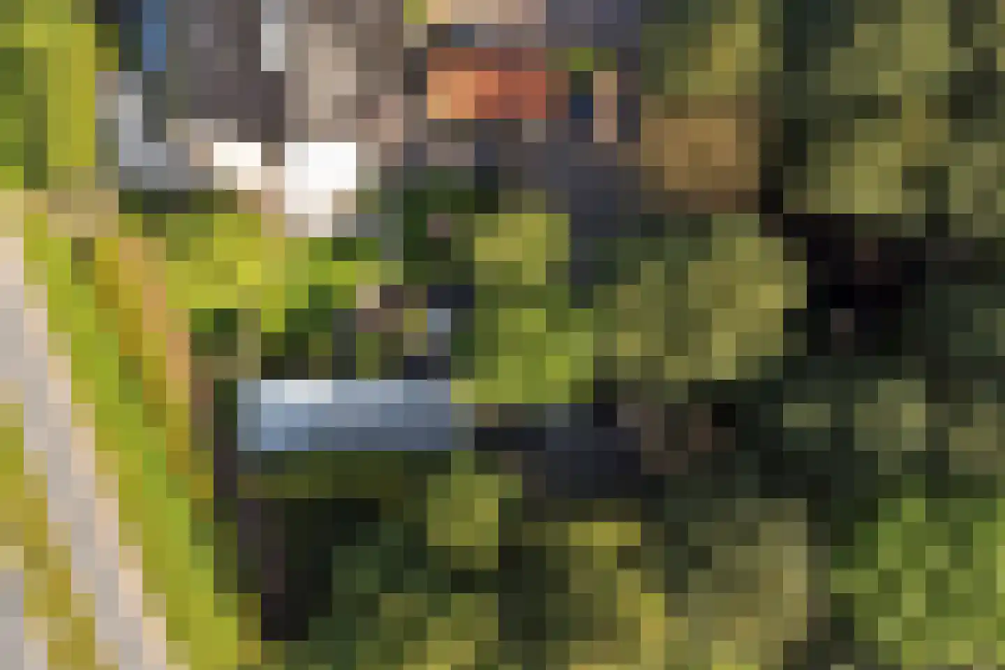 Nieuwe Gouwe O.Z. 98 Gouda thumbnail 75