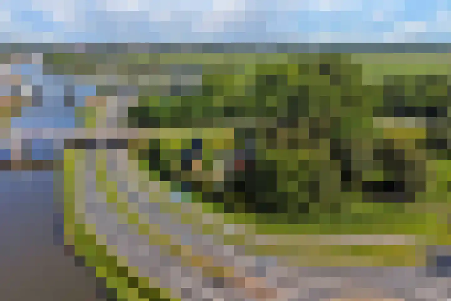 Nieuwe Gouwe O.Z. 98 Gouda thumbnail 76