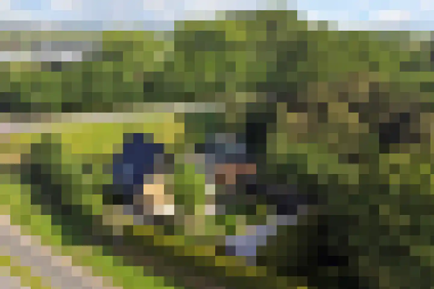 Nieuwe Gouwe O.Z. 98 Gouda thumbnail 77