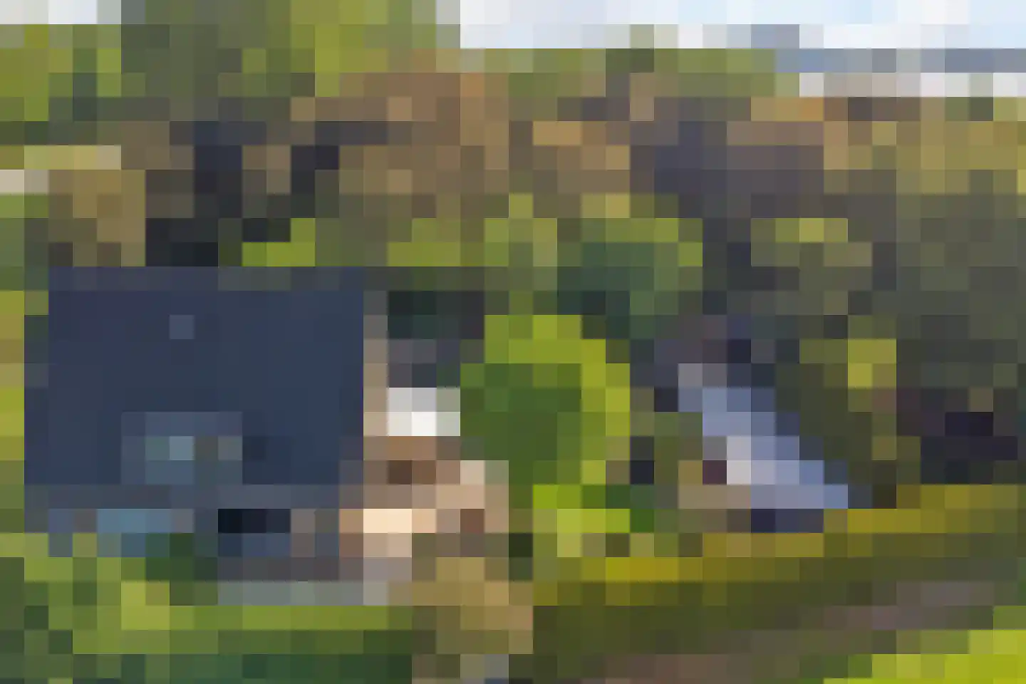 Nieuwe Gouwe O.Z. 98 Gouda thumbnail 78