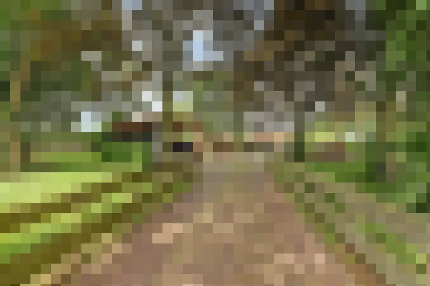 Nieuwe Gouwe O.Z. 98 Gouda thumbnail 8