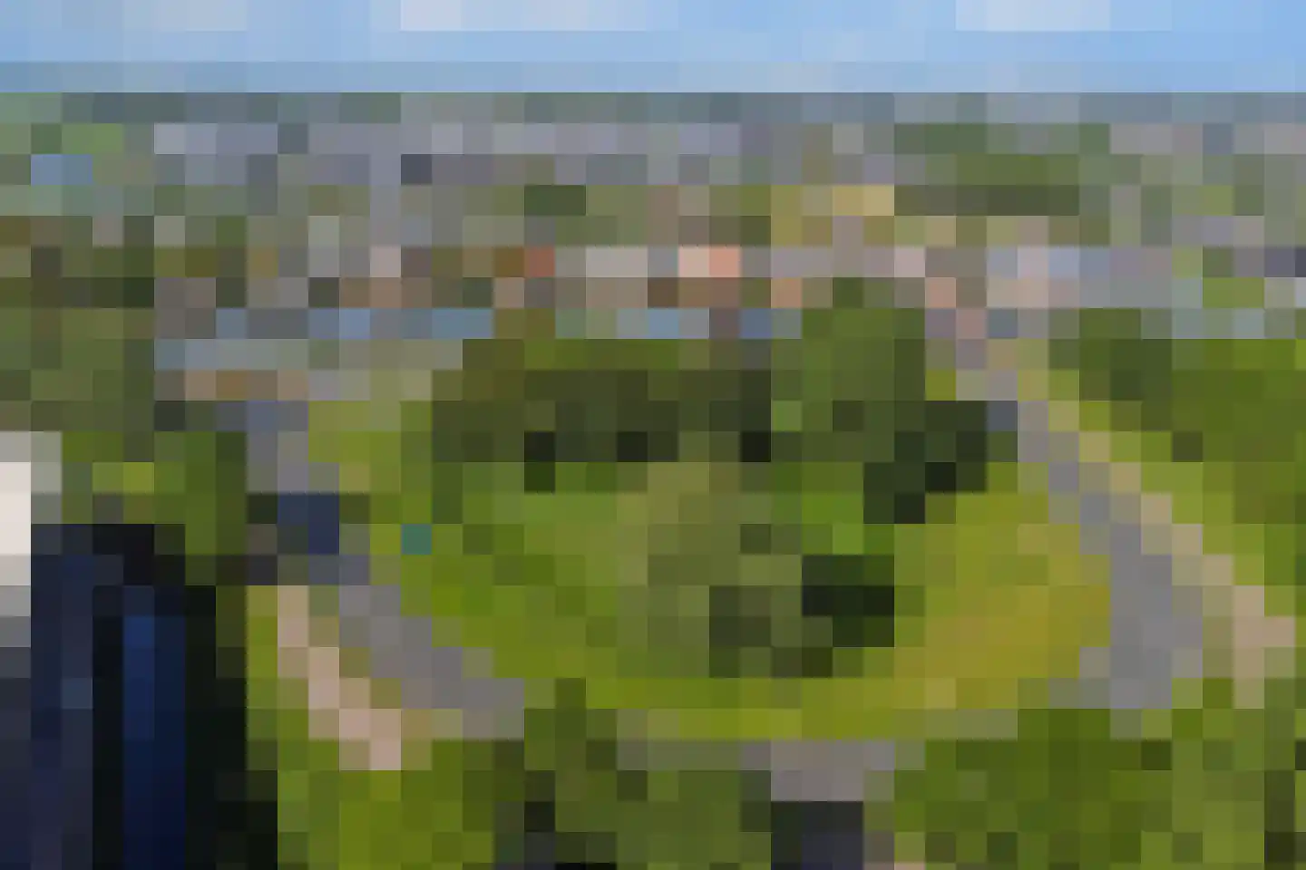 Nieuwe Gouwe O.Z. 98 Gouda thumbnail 81