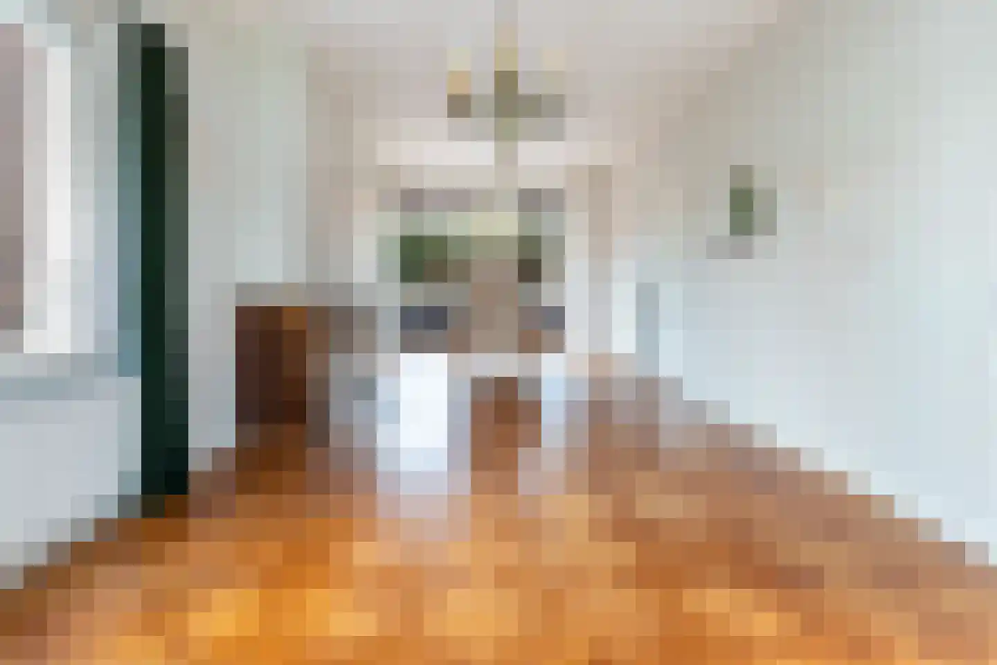 Nieuwe Gouwe W.Z. 5 Gouda thumbnail 19