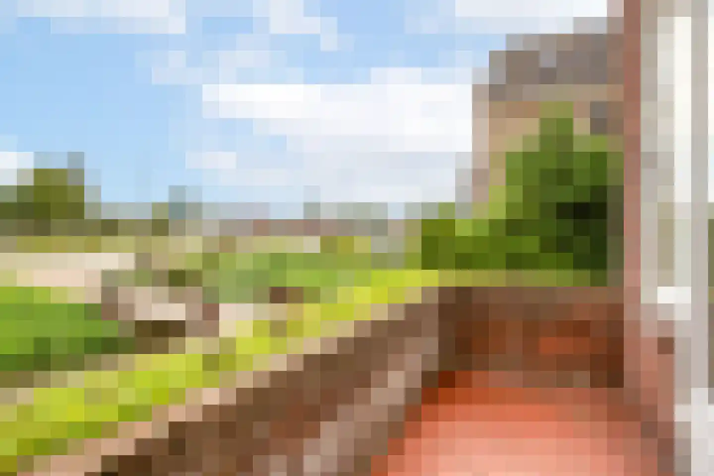 Nieuwe Gouwe W.Z. 5 Gouda thumbnail 23