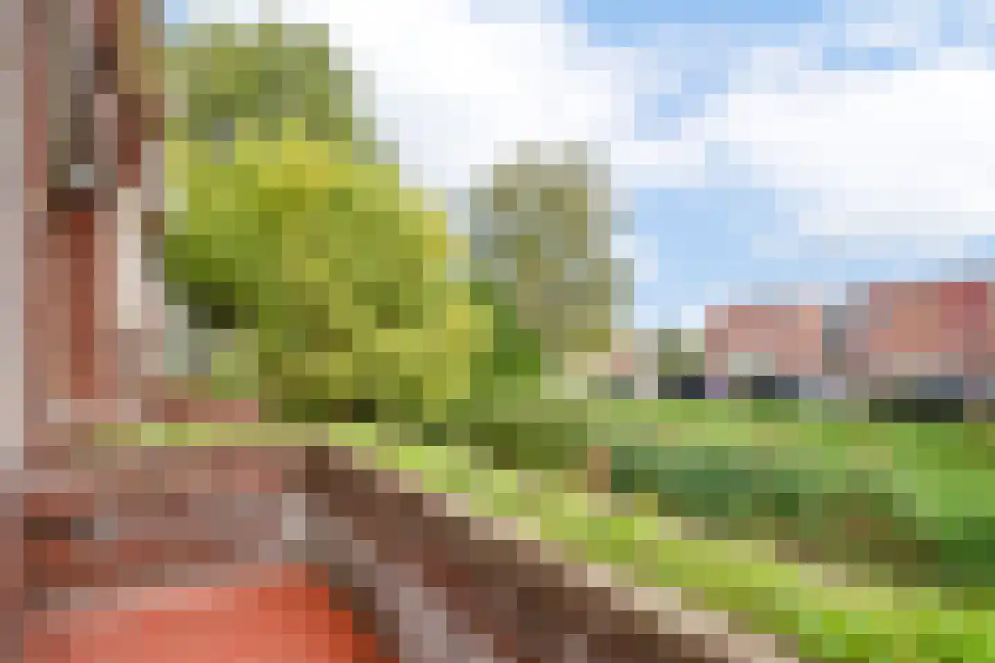 Nieuwe Gouwe W.Z. 5 Gouda thumbnail 24