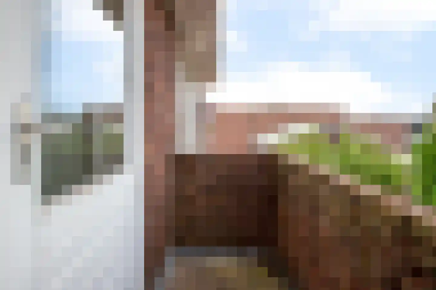 Nieuwe Gouwe W.Z. 5 Gouda thumbnail 52