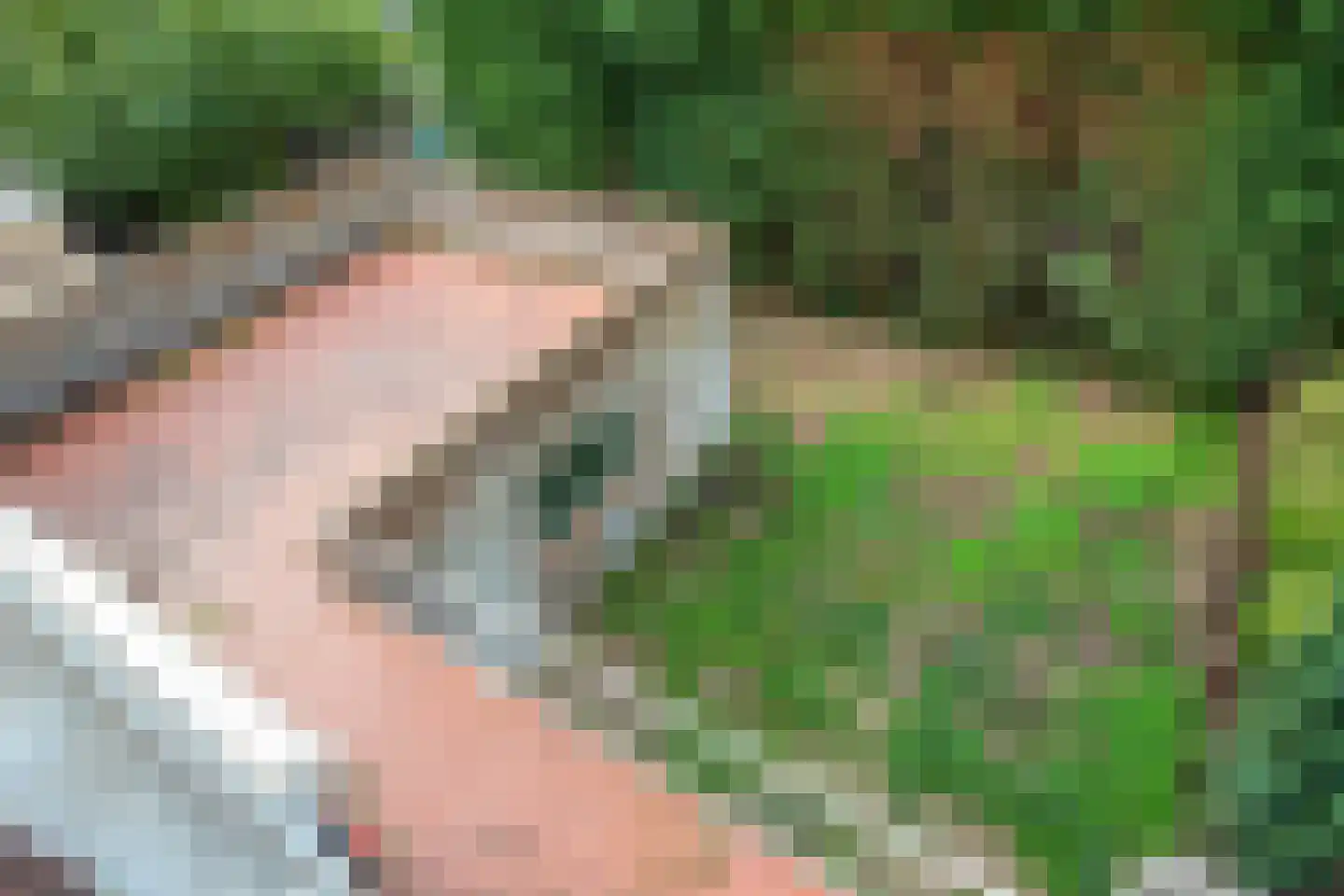 Nieuwe Gouwe W.Z. 5 Gouda thumbnail 53