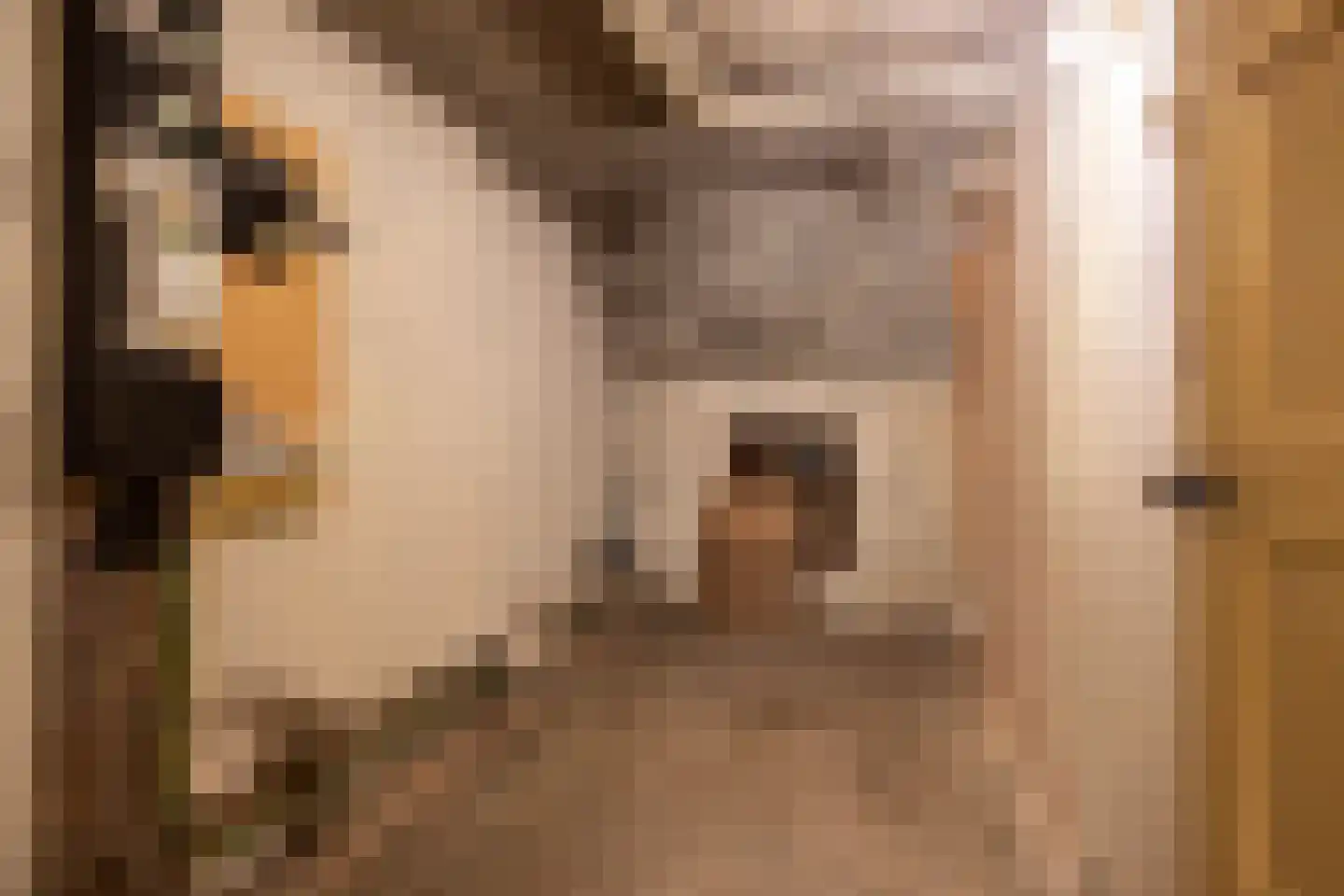 Nieuwe Gouwe W.Z. 5 Gouda thumbnail 59