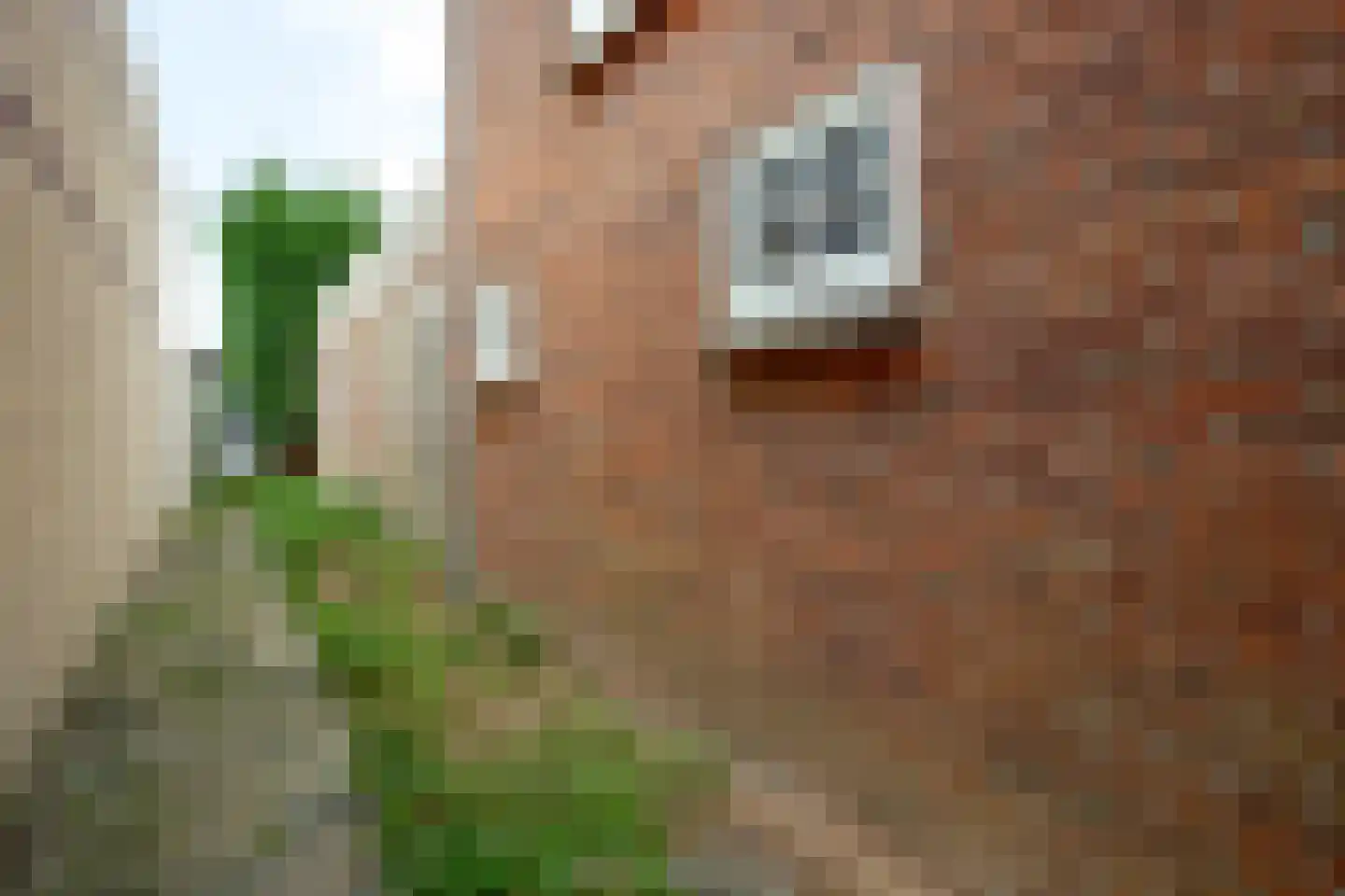 Nieuwe Gouwe W.Z. 5 Gouda thumbnail 76