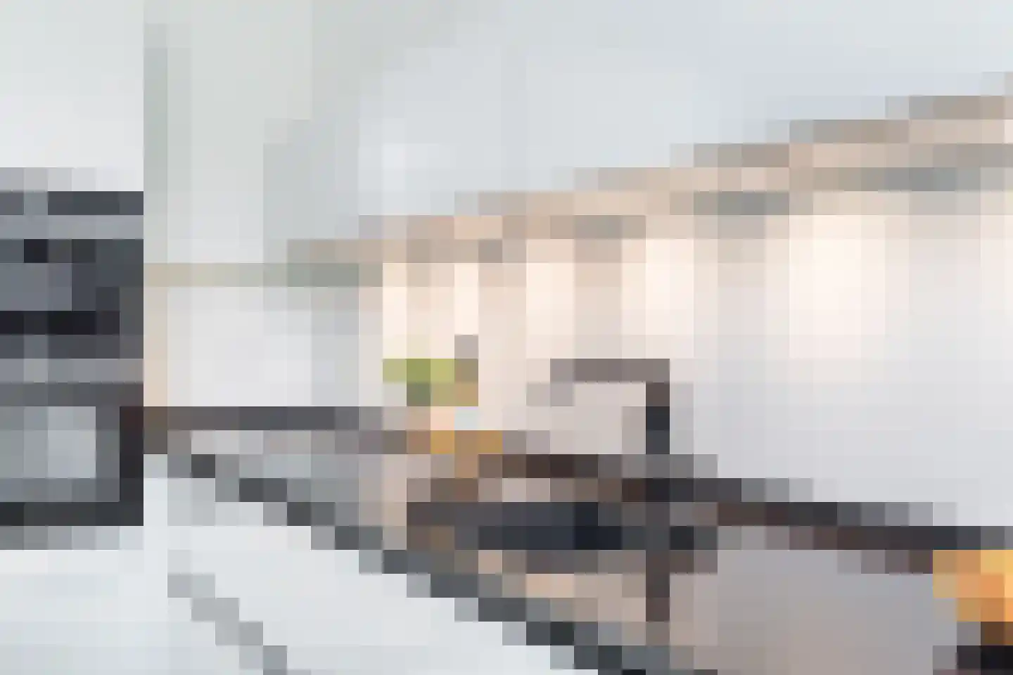 Nieuwe Gracht 105 Delft thumbnail 22