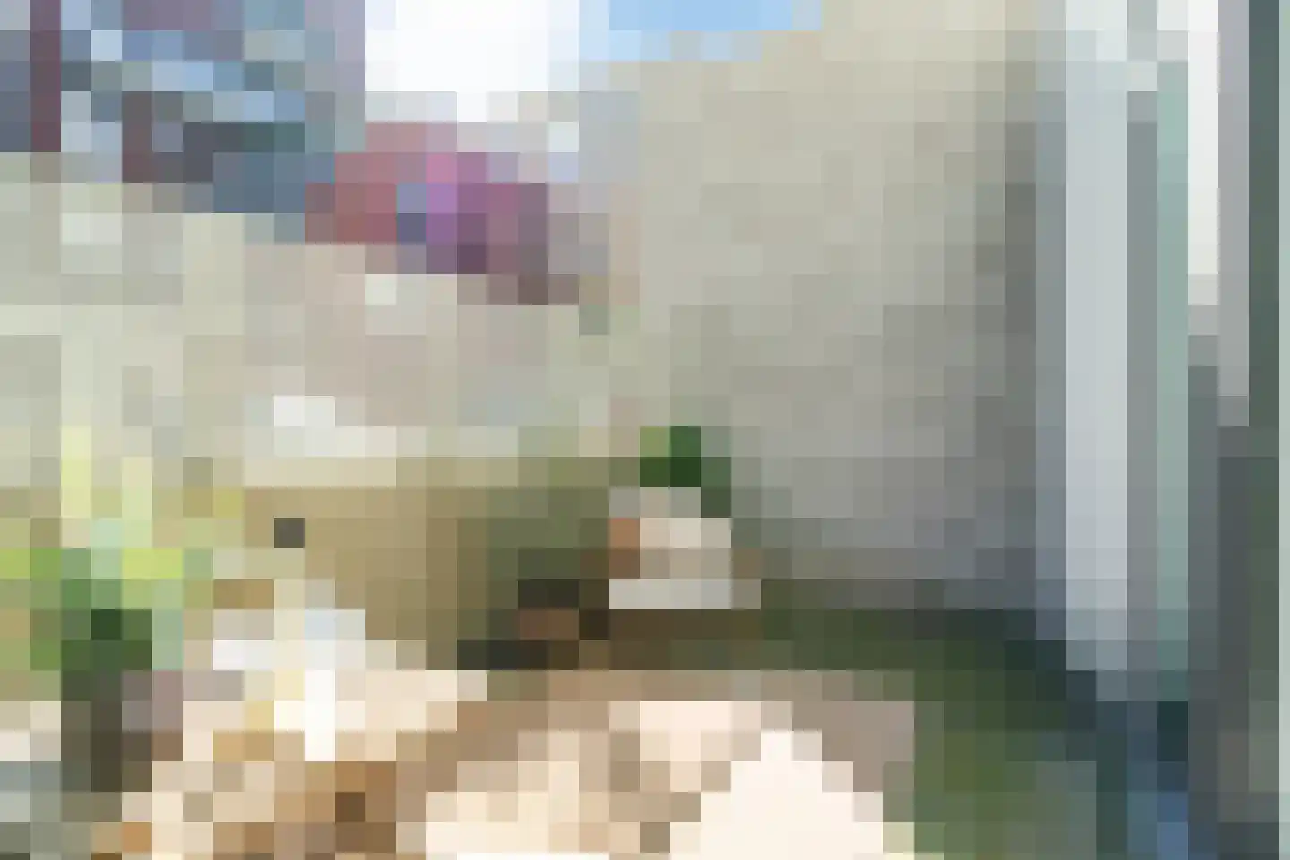 Nieuwe Gracht 105 Delft thumbnail 35